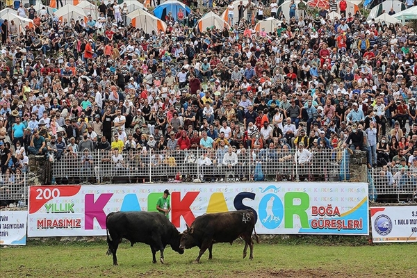 1. Artvin Kültür ve Sanat Festivali