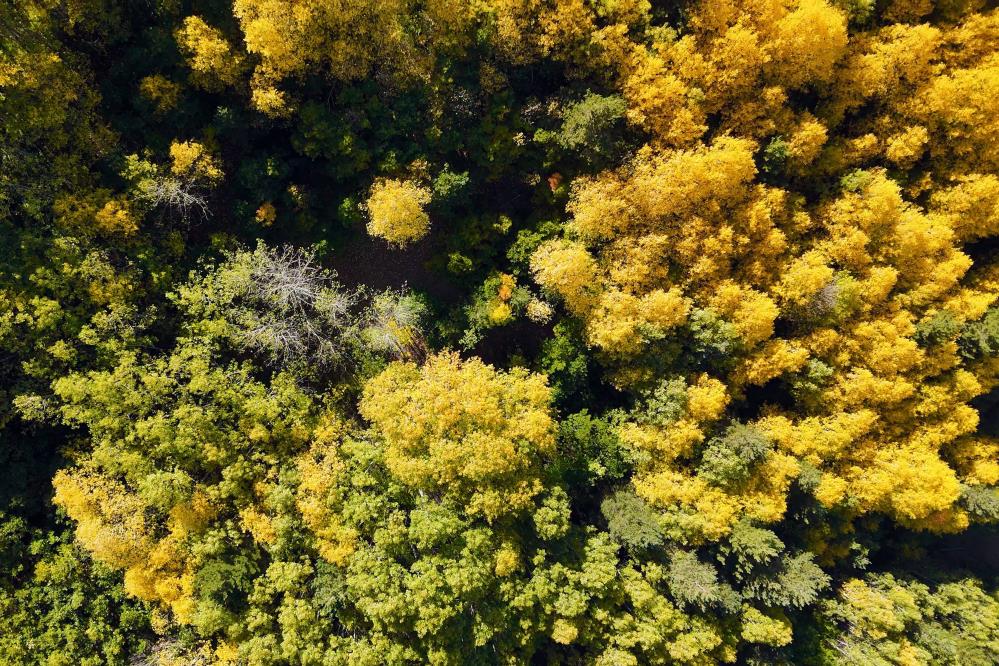 İklim ve coğrafyanın buluştuğu nokta