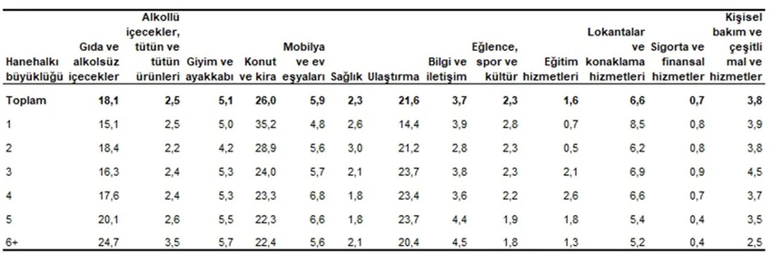 Tek kişilik haneler konut ve kiraya kalabalık hanelerden bir buçuk kattan daha fazla pay ayırdı