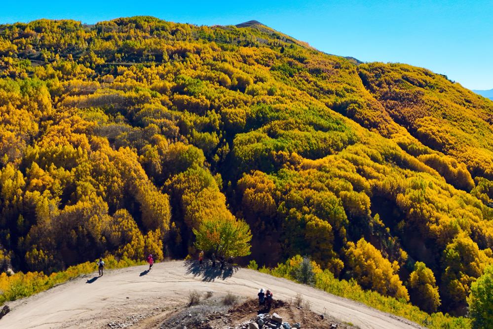 DOĞA EN GÜZEL RENKLERİNE BEZENMİŞ