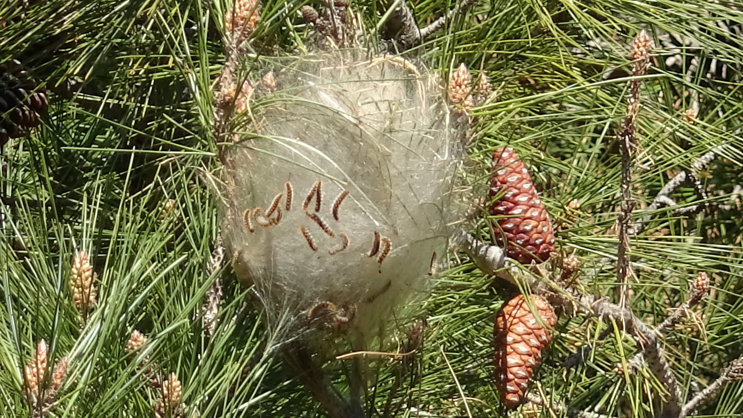 1-