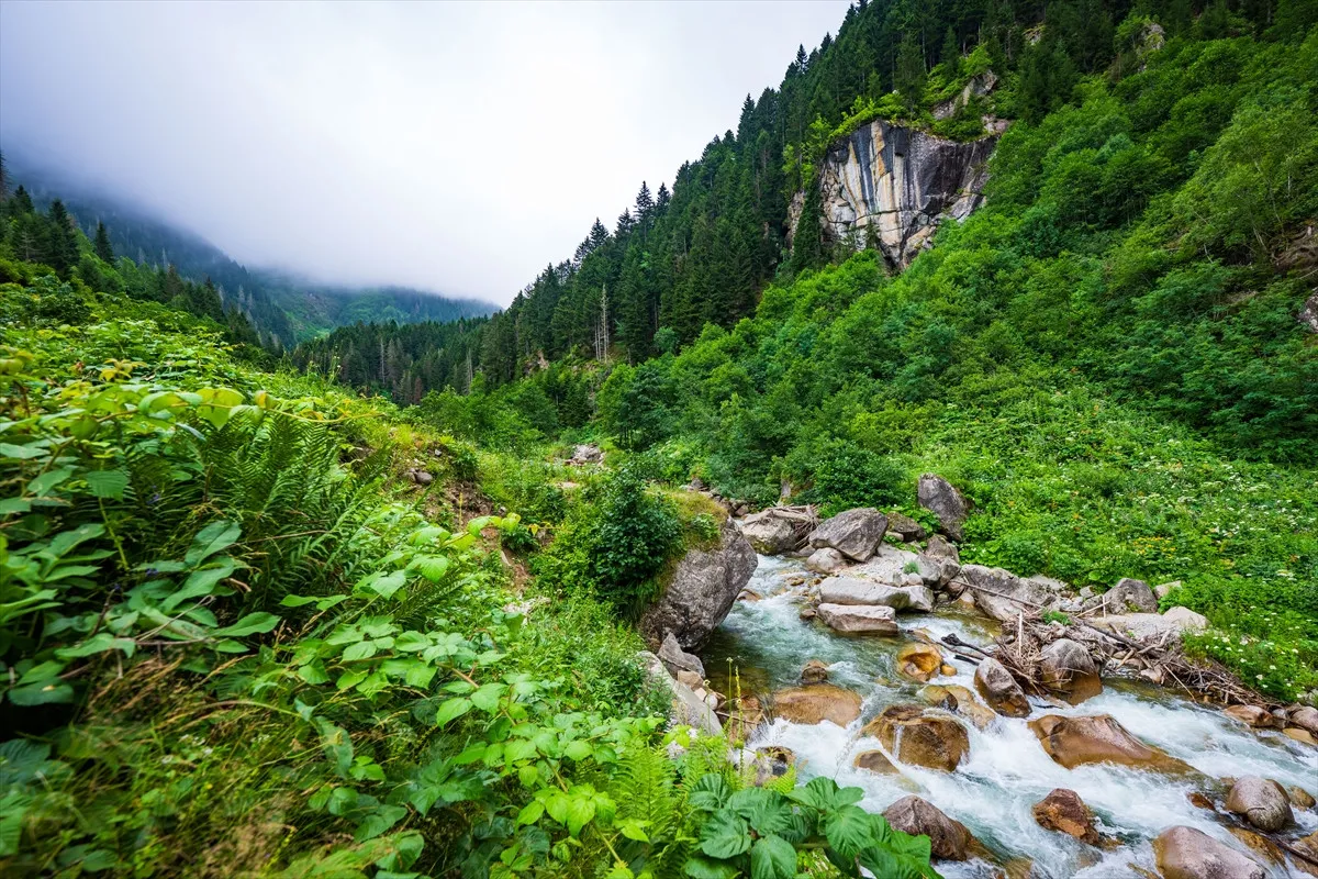GELENEKSEL YAYLA YAŞAMININ İZLERİ