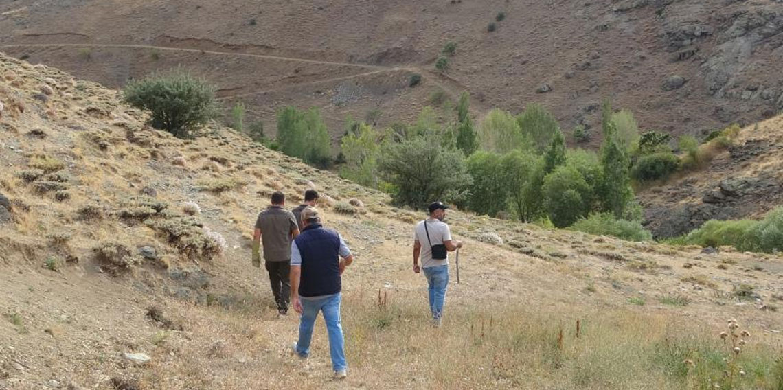 Bayburt'ta annesini kaybeden yavru ayı köyü alarma geçirdi