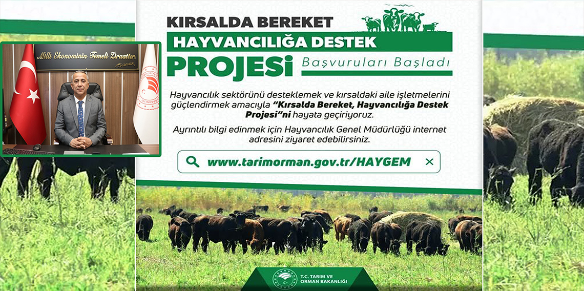 ‘Kırsalda Bereket, Hayvancılığa Destek Proje' başvuruları başladı