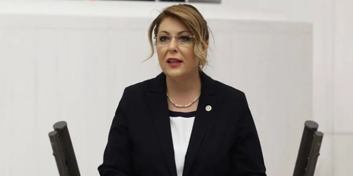 Elvan Işık Gezmiş; Zamanında Defalarca Uyardık