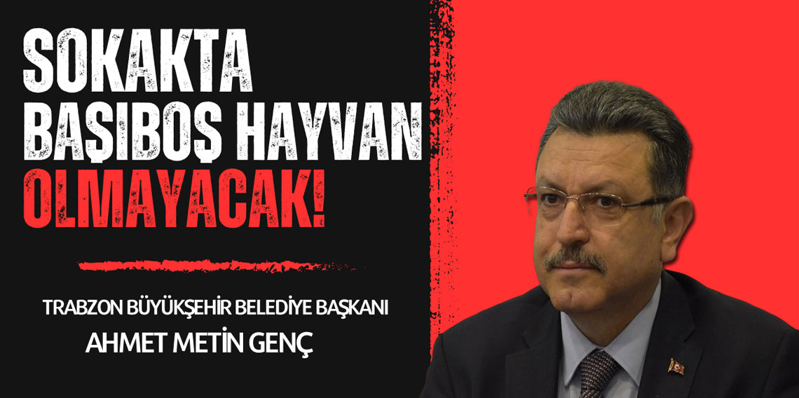 Genç: Sokakta Başıboş Hayvan Olmayacak