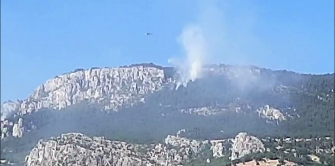 Sinop'taki orman yangınında soğutma çalışmaları devam ediyor