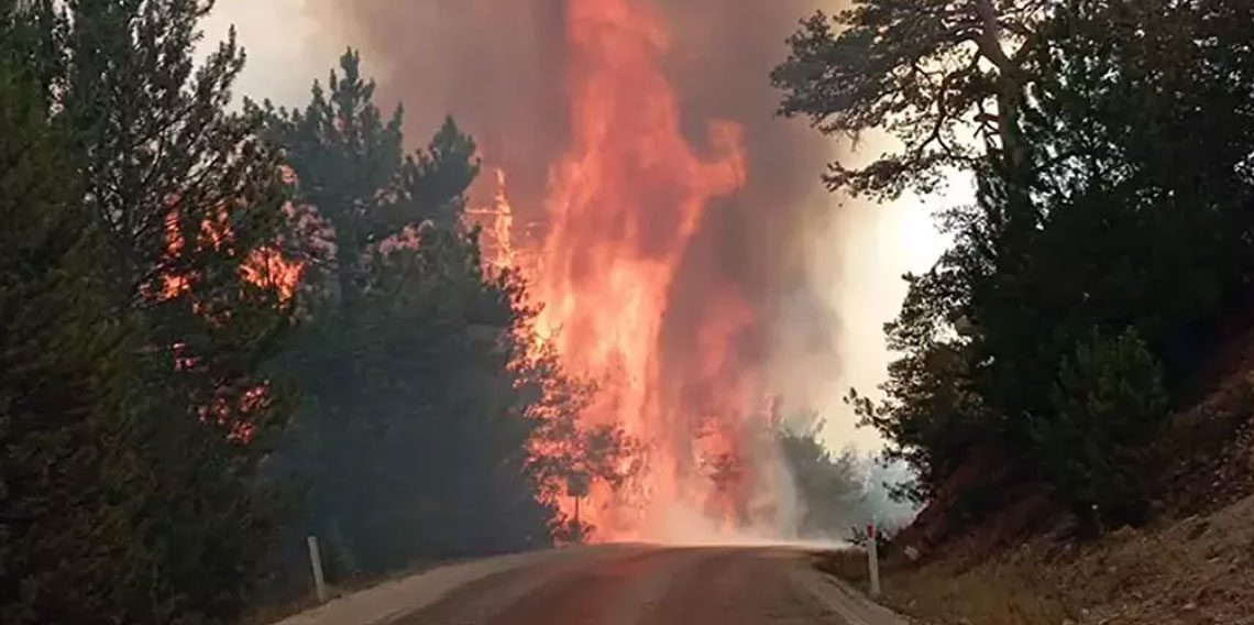 Bolu'da orman yangını! Alevler hızla yayılıyor