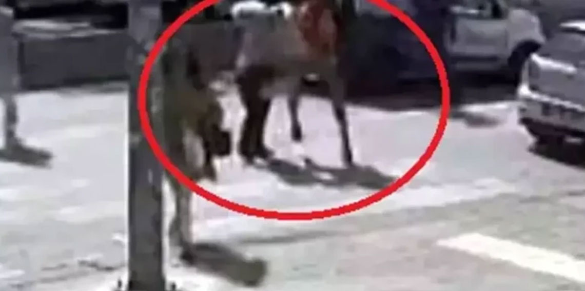 Yaşlı kadını yumruklayıp kaçmıştı... Gözü dünmüş maganda tutuklandı!