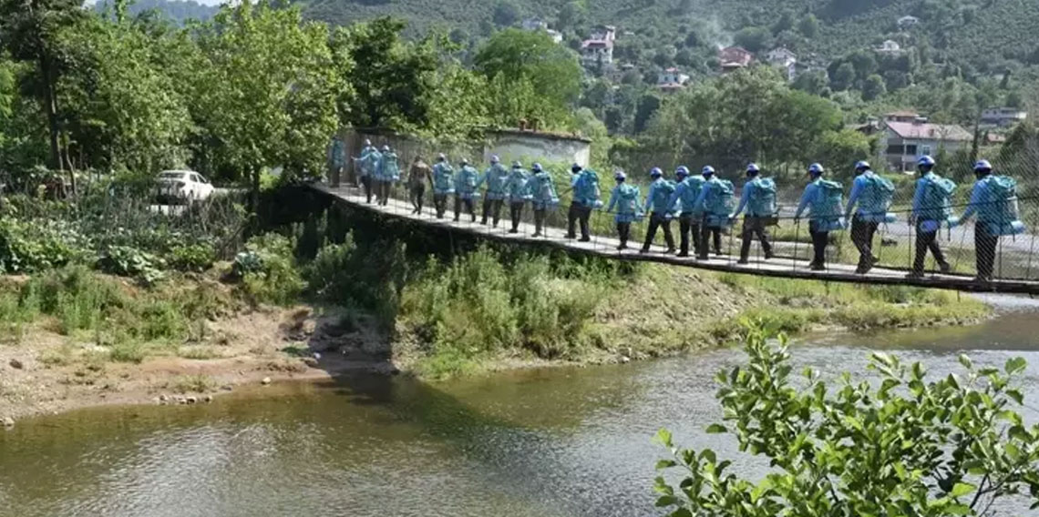 Ordu'da kaybolan kişi fındık bahçesinde ölü bulundu