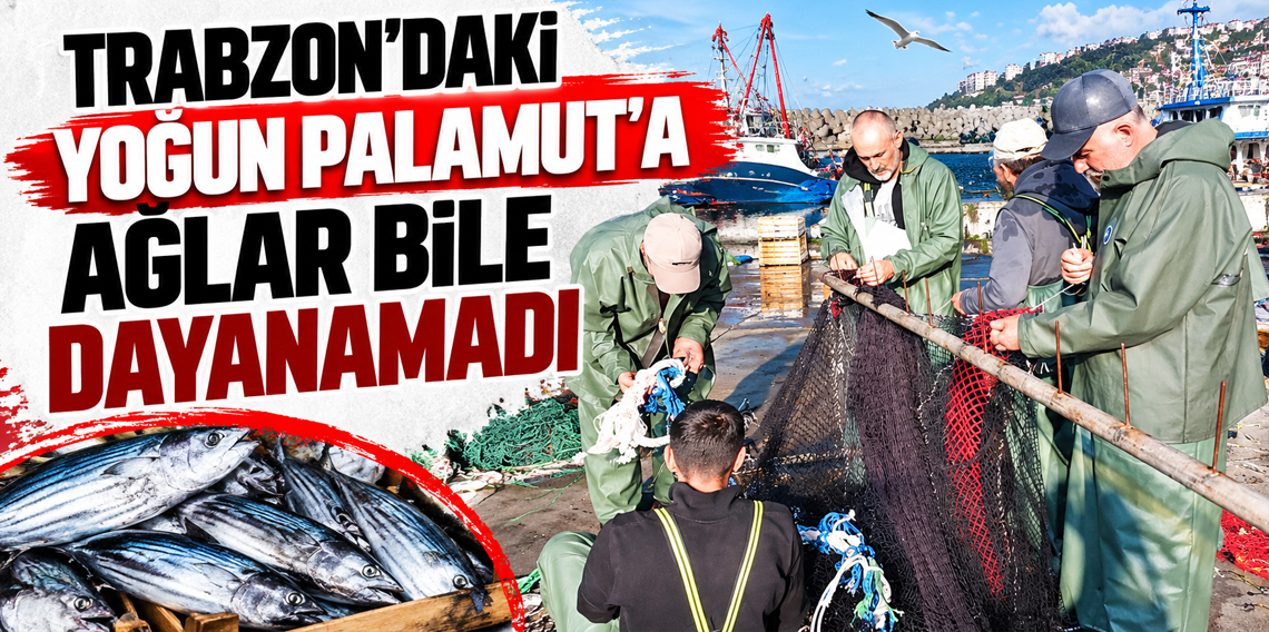 Trabzon'daki yoğun ava Ağlar bile dayanamadı