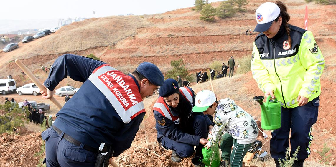 İç Anadolu'da binlerce fidan toprakla buluşturuldu