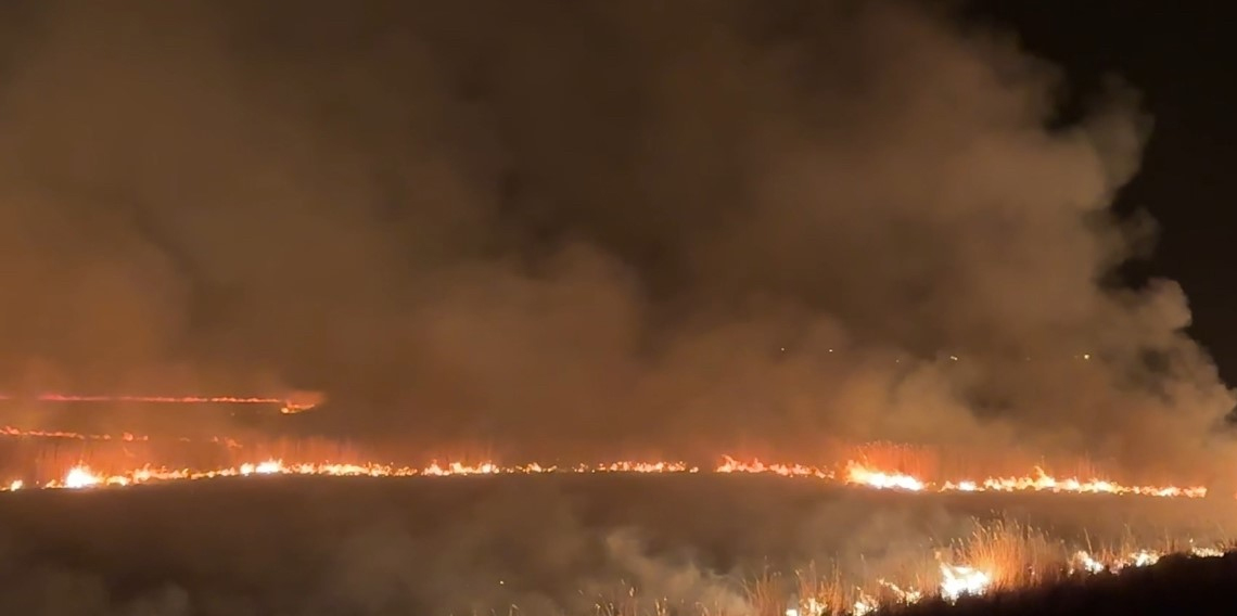  Kuş cennetindeki yangın yerleşim yerlerini tehdit ediyor