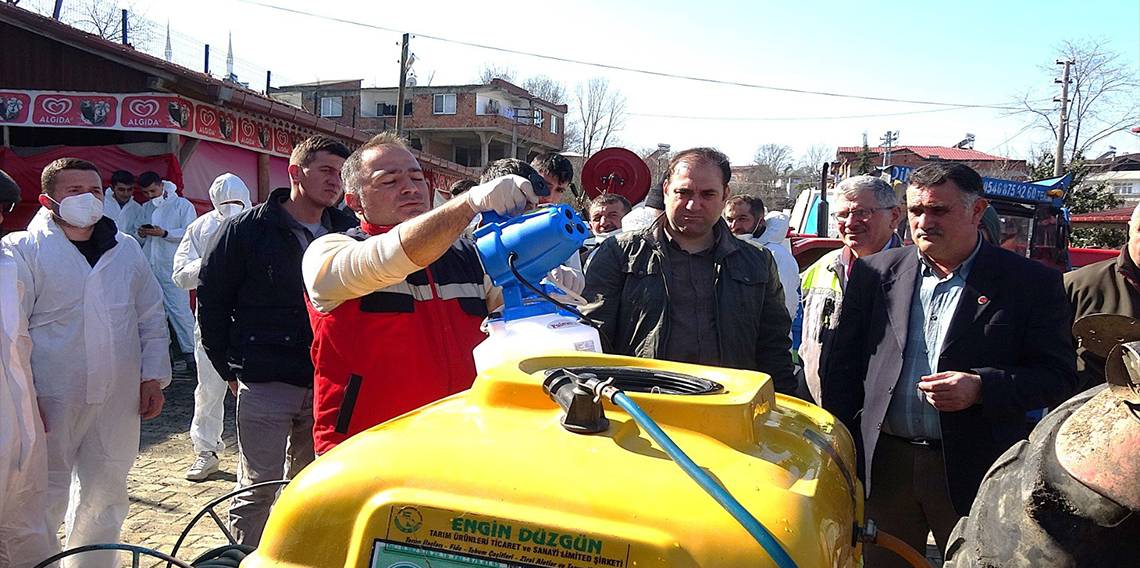 Samsun'da kahverengi kokarca ile mücadele