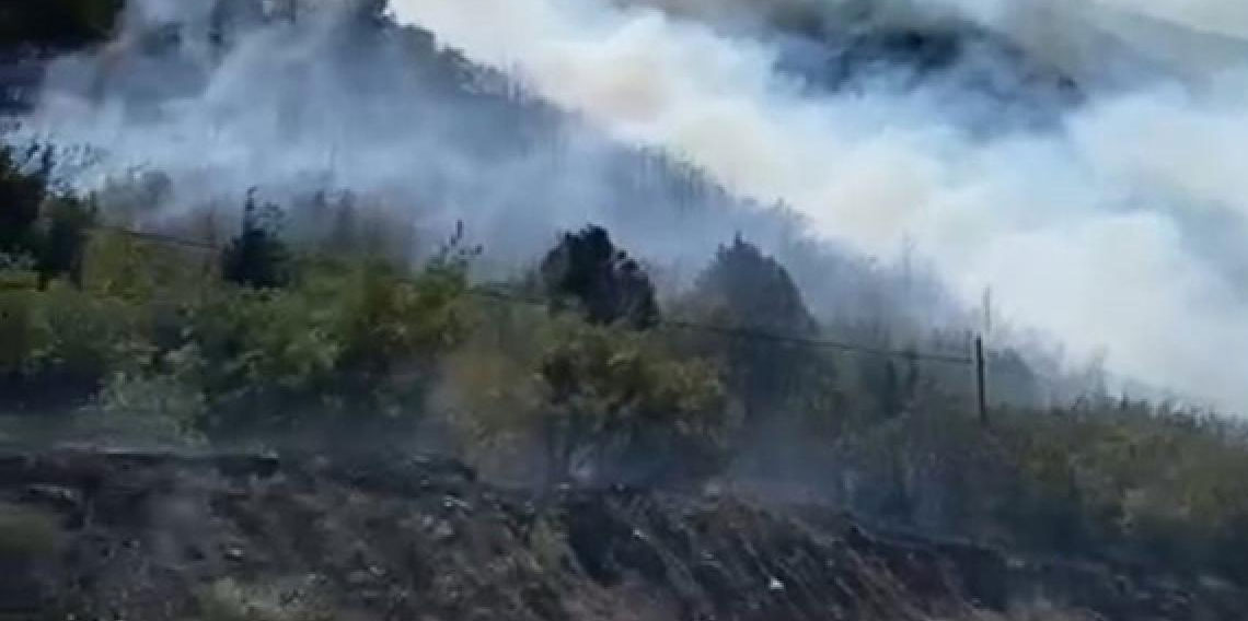 Tokat'ta yangın: 5 hektarlık ormanlık alan zarar gördü