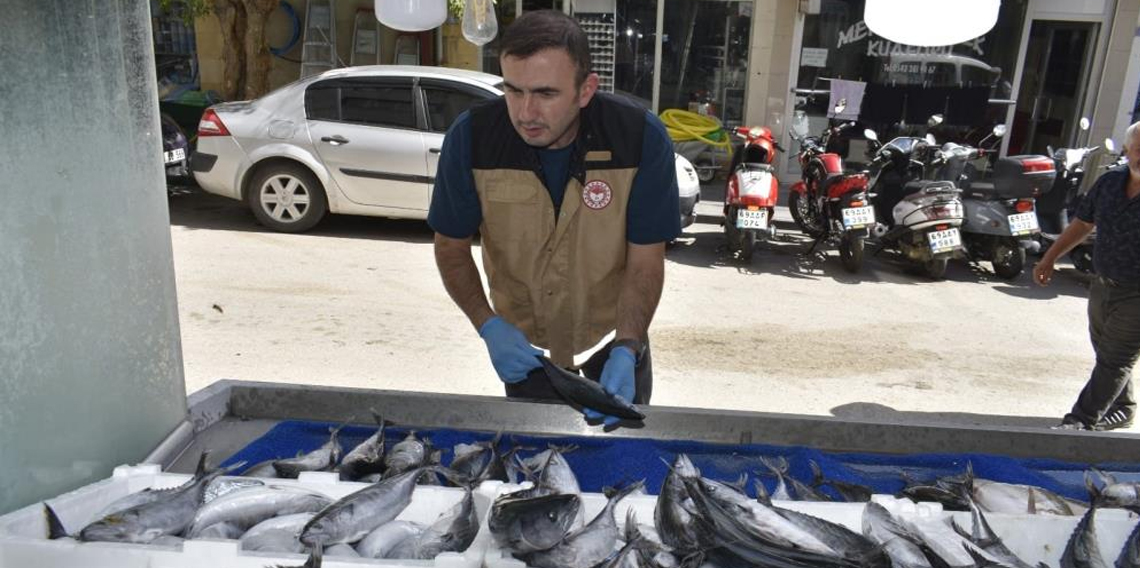 Bayburt'ta balık satışı yapılan yerlerde denetim yapıldı