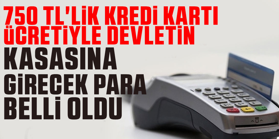 750 TL'lik kredi kartı ücretiyle devletin kasasına girecek para belli oldu