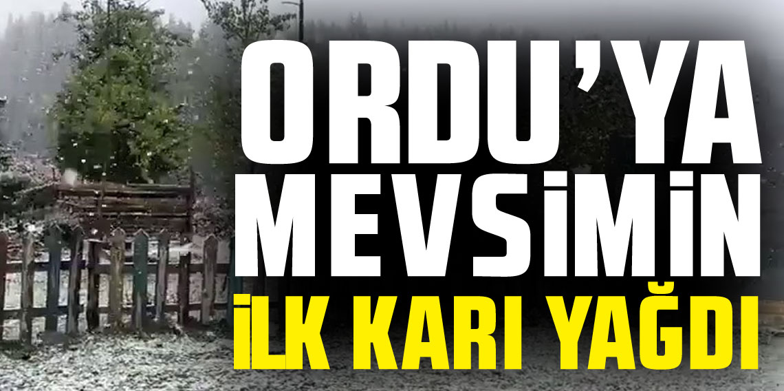 Ordu'nun yükseklerine mevsimin ilk karı düştü
