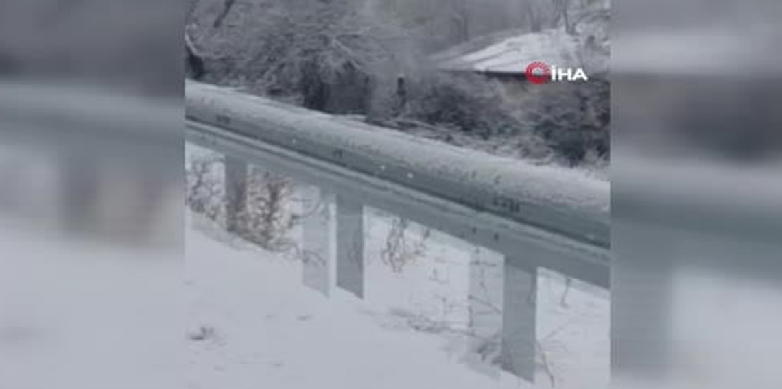 Ankara’da kar yağışı sonrası karacalar sürü halinde görüntülendi