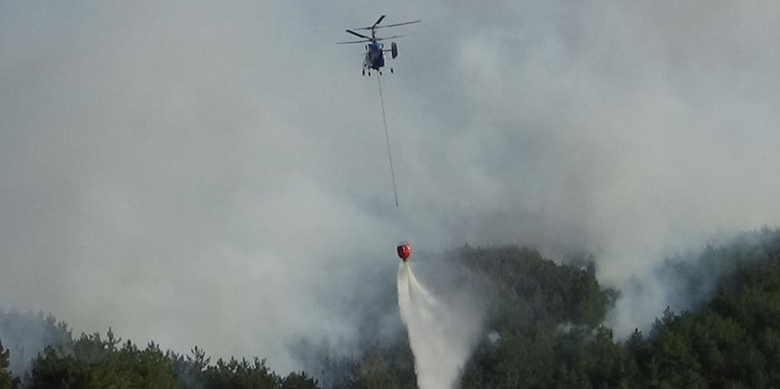 Bolu’daki orman yangını kısmen kontrol altında: 2 gözaltı