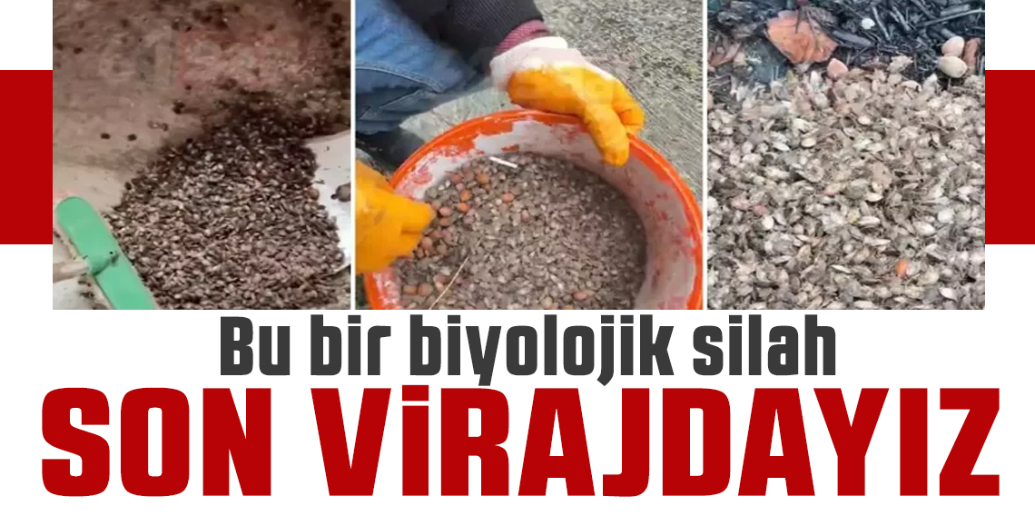 Karadeniz Bölgesi İçin 