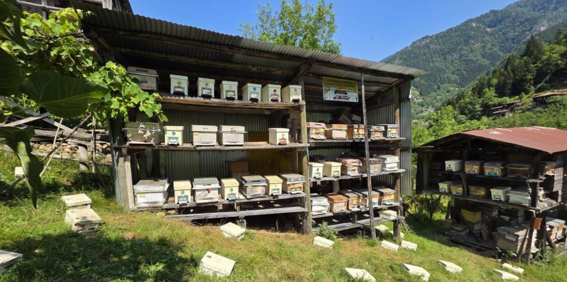 Artvin Arı Yetiştiricileri Birliği Başkanı İbrahim Durmuş: 