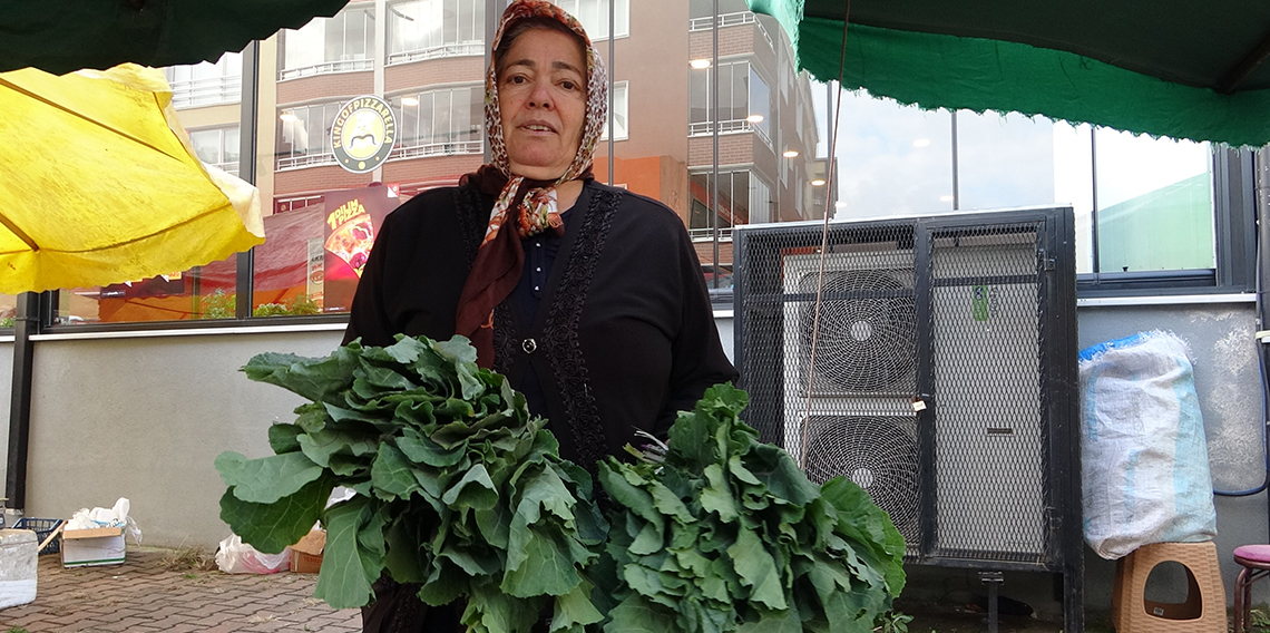  Karadeniz'deki karalahananın faydaları bilimsel olarak kanıtlandı