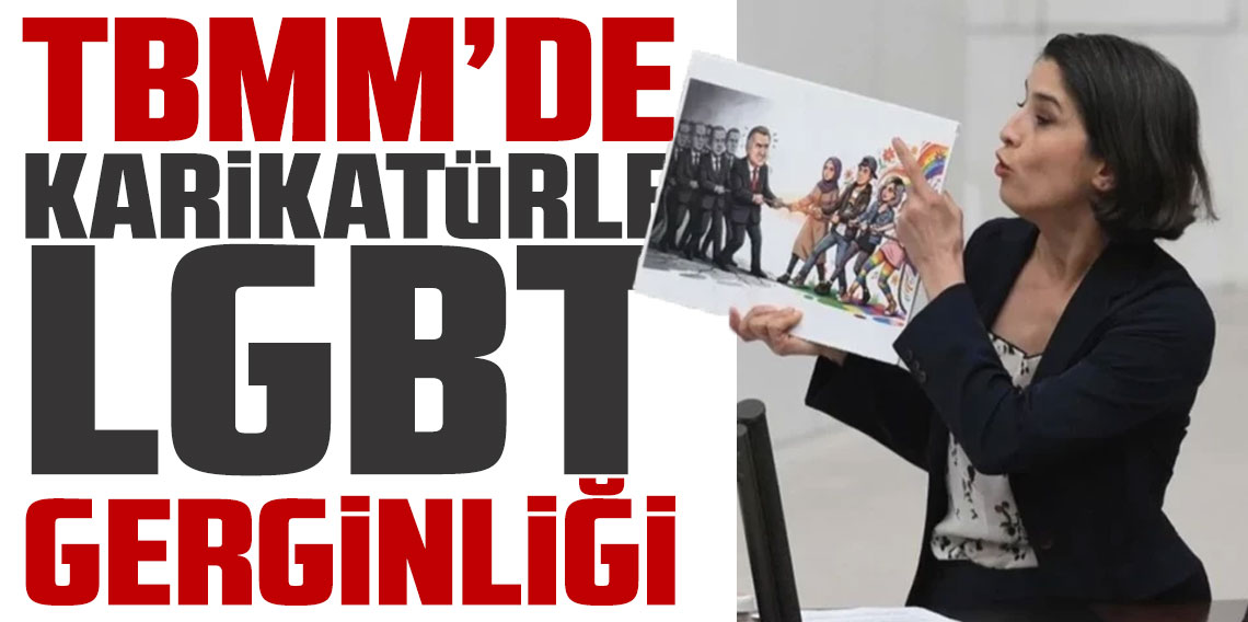 DEM Parti’nin karikatür dövizi krize yol açtı