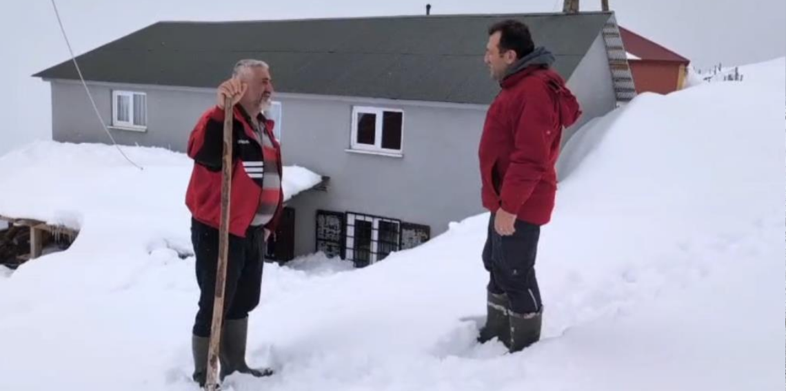 Gümüşhane’de Ayı Korkusu: Yaylada Mahsur Kalan Vatandaş “Ayı Nöbeti” Tutuyor