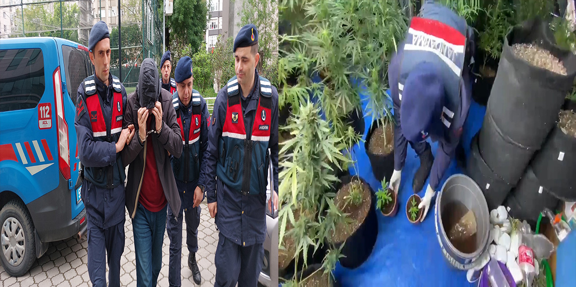 Evini uyuşturucu tarlasına çevirdi