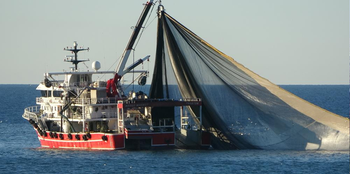 Balıkçılardan Av Kotasına Tepki! Vatandaş Nasıl Ucuz Hamsi Yiyecek?