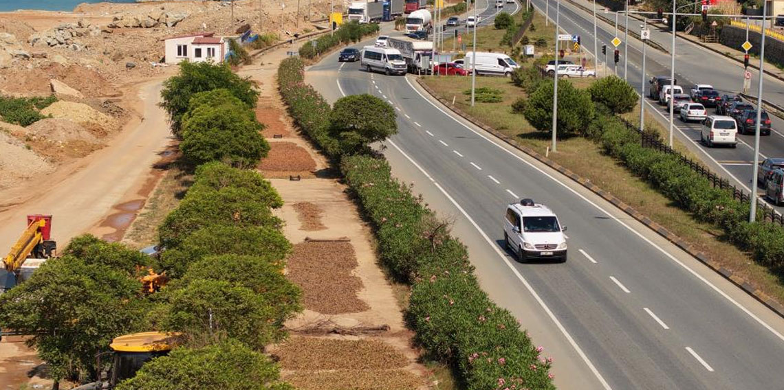 Karadeniz Sahil Yolu fındıkçılar için harman yeri oldu