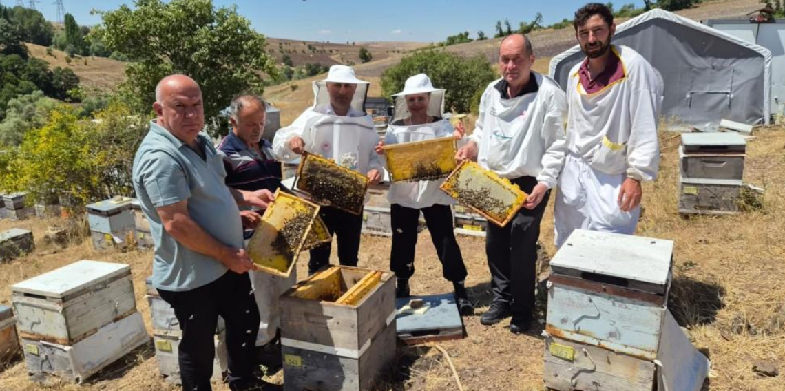 Karadeniz arı genotipinin ıslahı için çalışmalar sürüyor