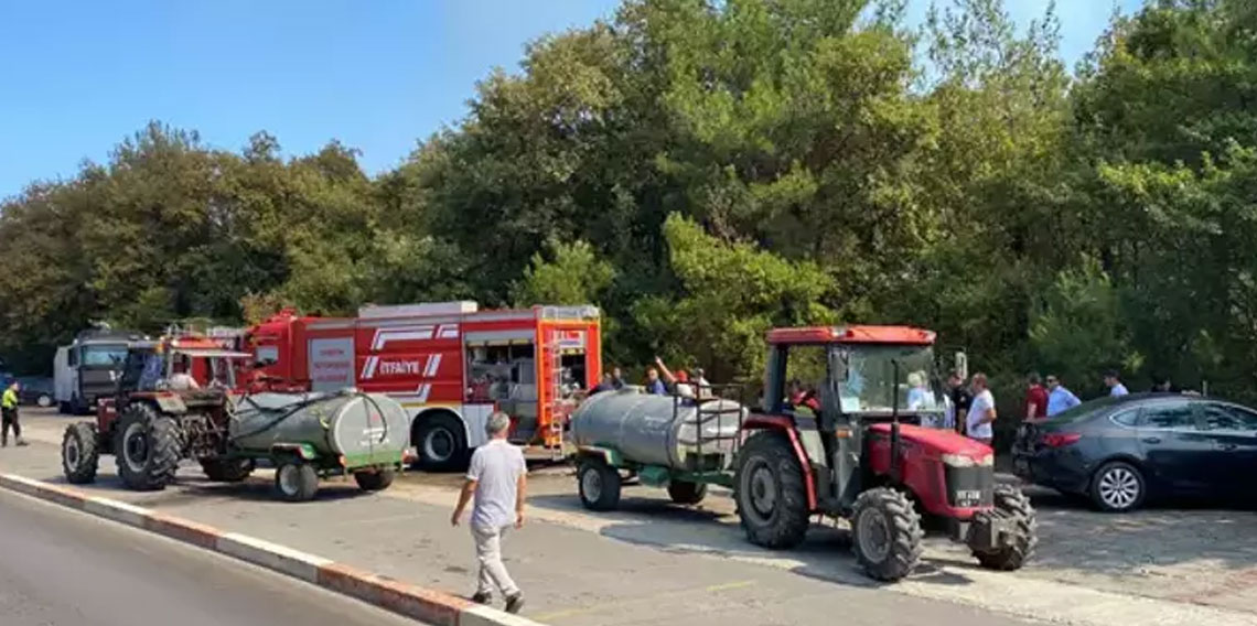 Samsun'da Tıp Fakültesi Hastanesi'ne yakın ormanlık alanda yangın çıktı