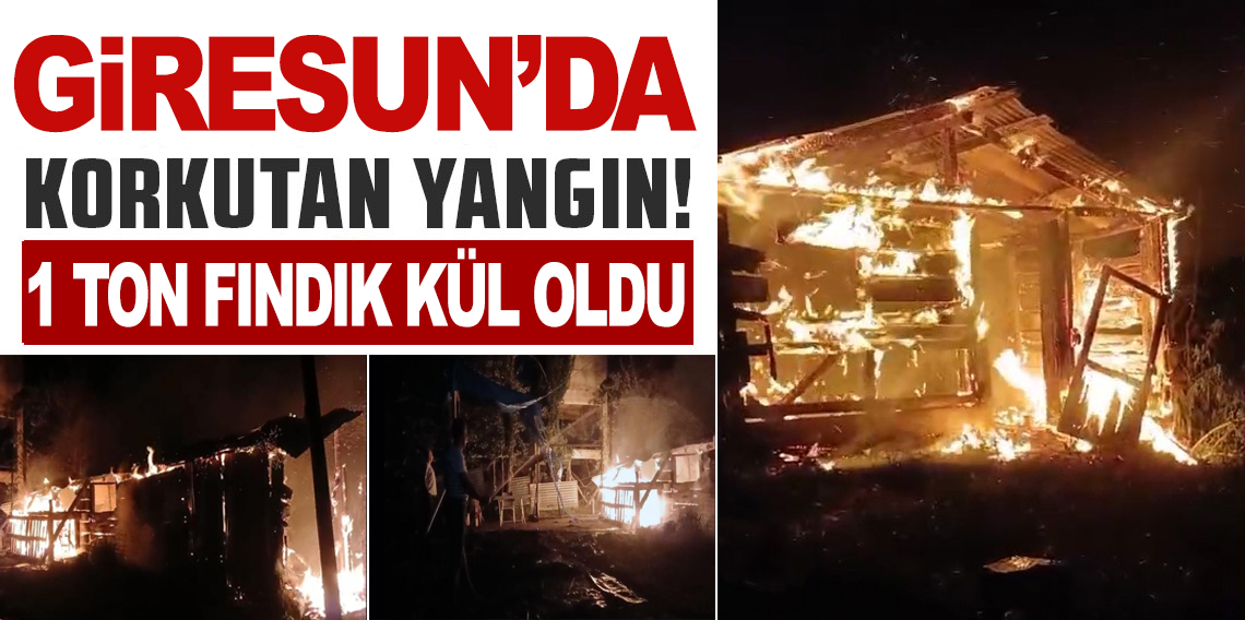 Giresun'da yangında 1 ton fındık kül oldu