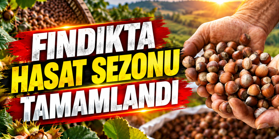 Trabzon'da Fındık hasat sezonu tamamlandı