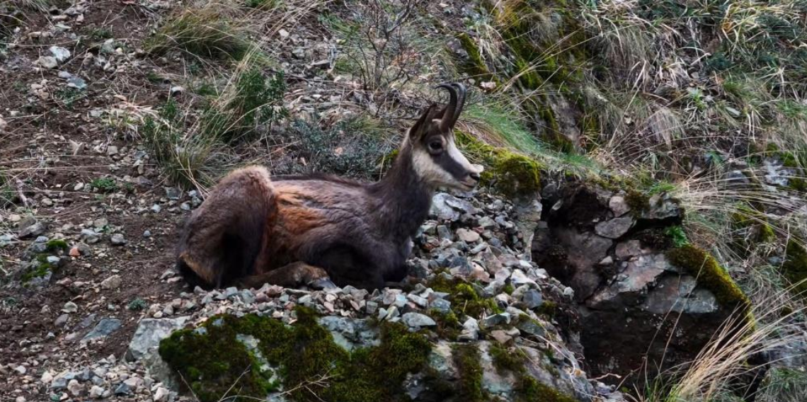 Gümüşhane’de Sarp Kayalıkların Ustaları Büyüledi