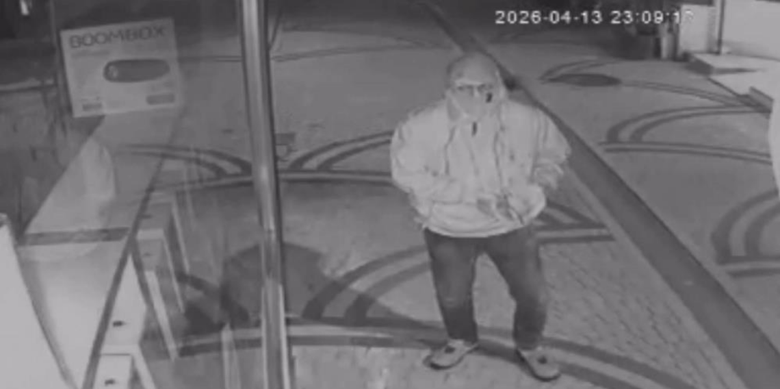 Ordu'da telefon hırsızlığı kamerada