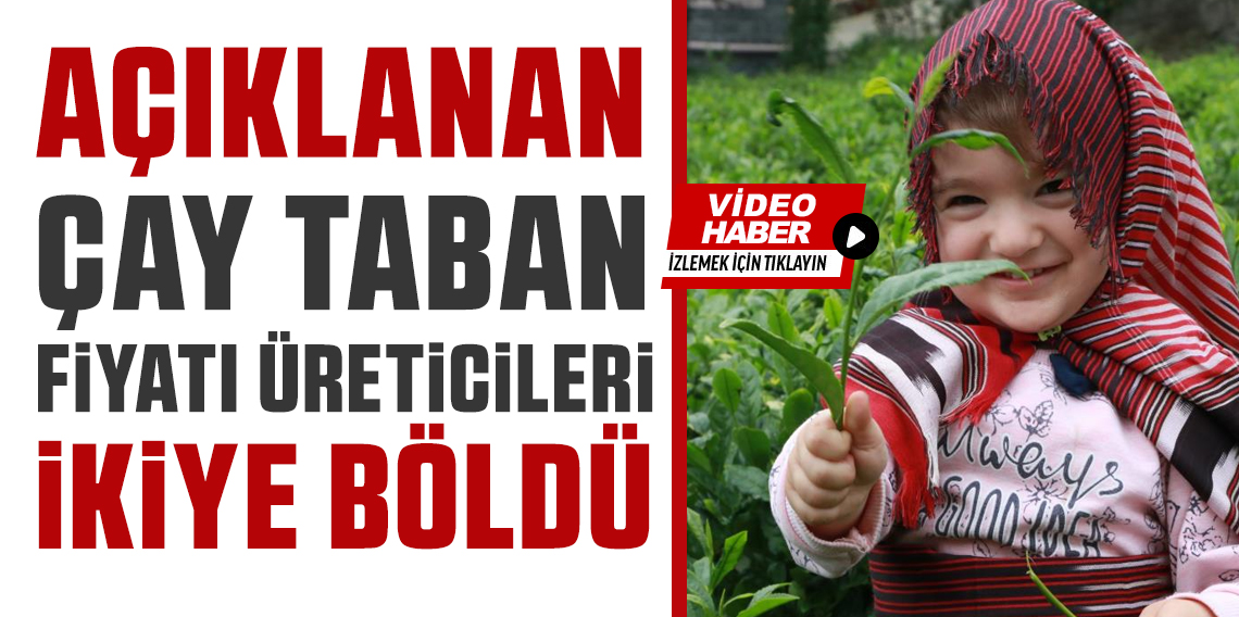 Rize'de Çay Fiyat Tartışması: 25,44 TL Taban Fiyat Çiftçileri Böldü