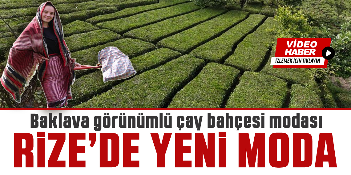 Rize'nin yeni gözdesi: Baklava görünümlü çay bahçesi