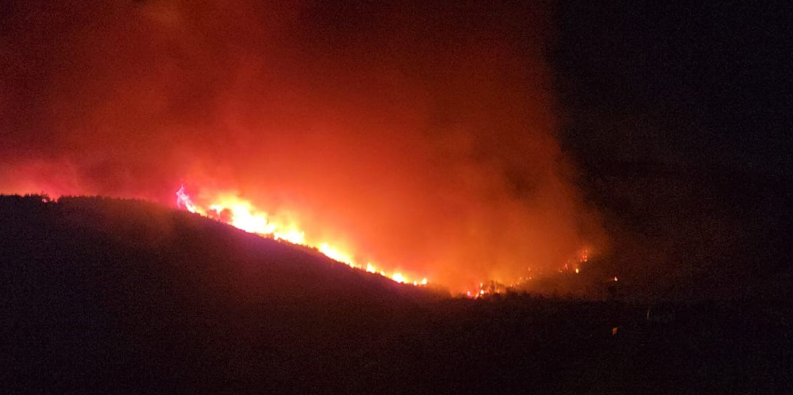 Hatay’da orman yangını büyüyor