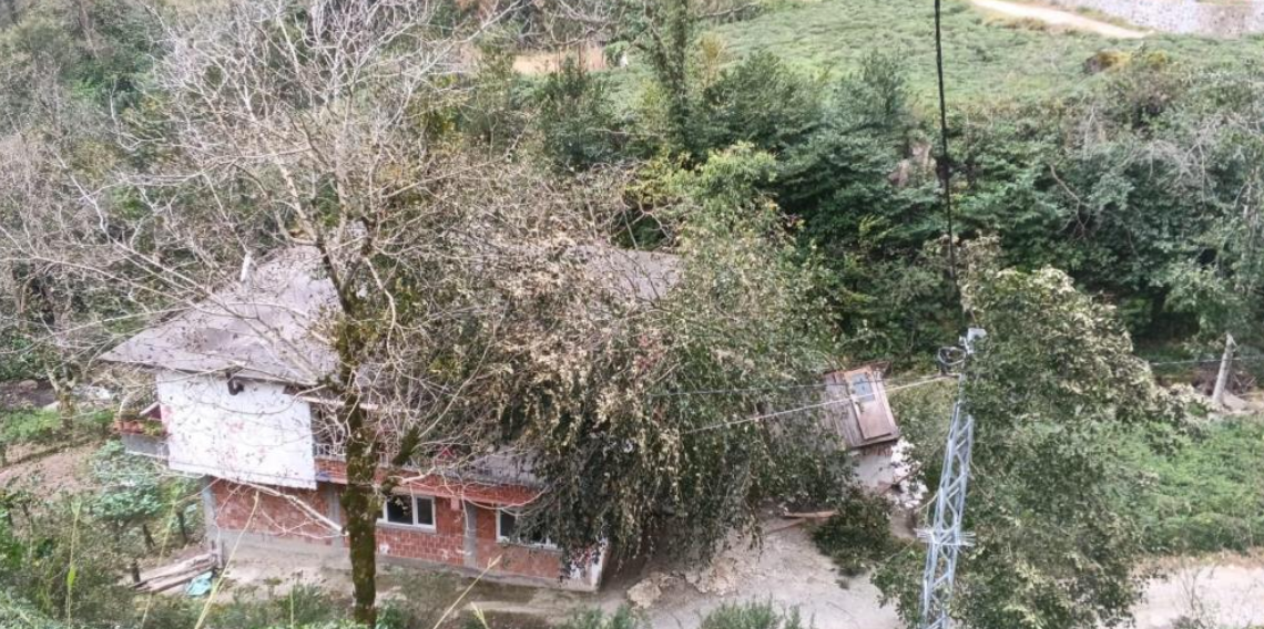 Kuvvetli rüzgâr nedeniyle devrilen ağaç evin çatısına düştü
