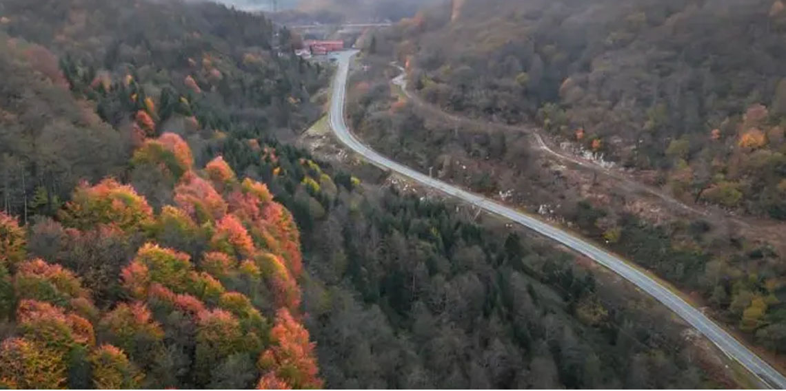 Artvin’de Cankurtaran ormanları renkleriyle büyülüyor