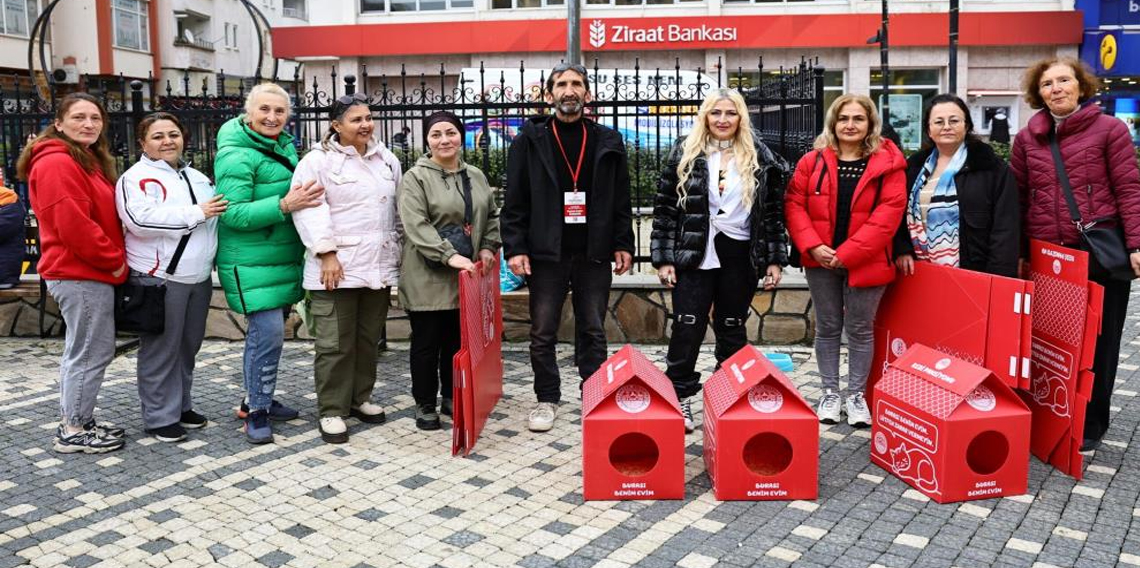 Bulancak Belediyesi'nden sokak kedileri için 'kedi pansiyonu'