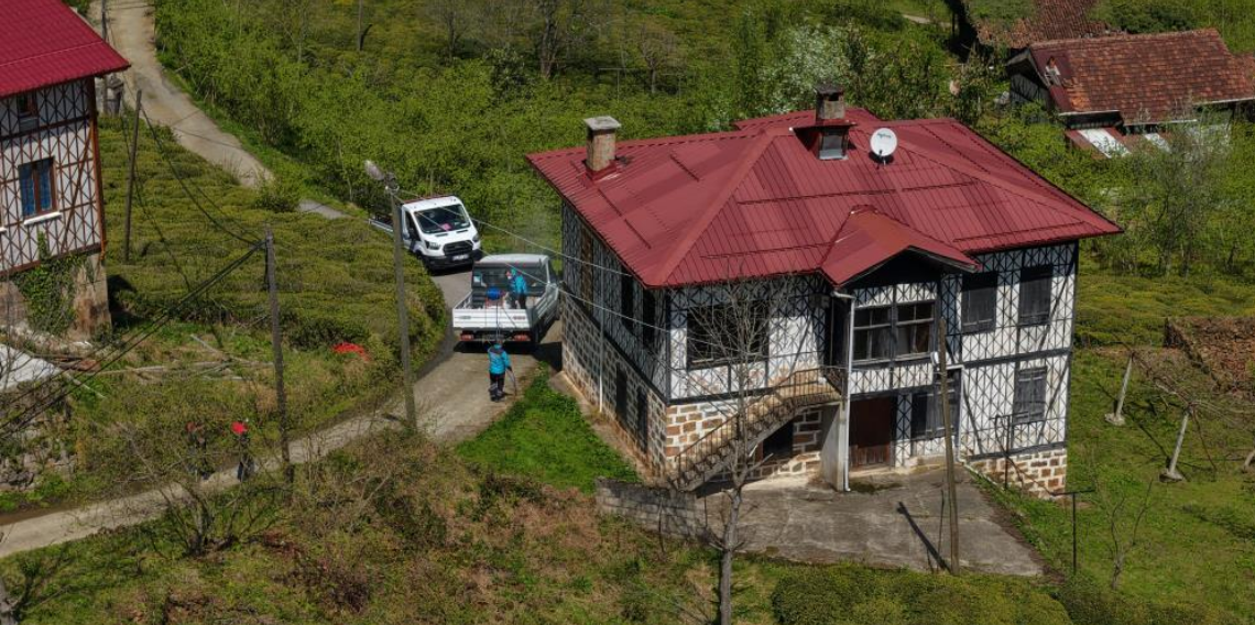Karadeniz’de Kahverengi Kokarca Alarmı! 3 Bin Metruk Bina İlaçlandı, Mücadele Sürüyor