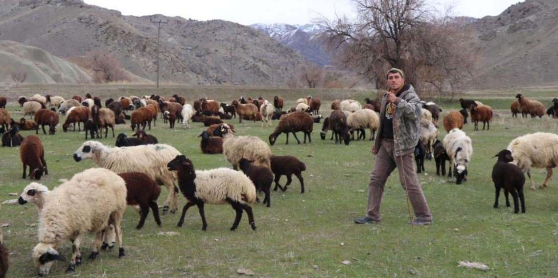 Erzurumlu Çobanın Teknoloji Hamlesi,Saksağandan İlham Aldı, Drone ile Sürü Yönetiyor