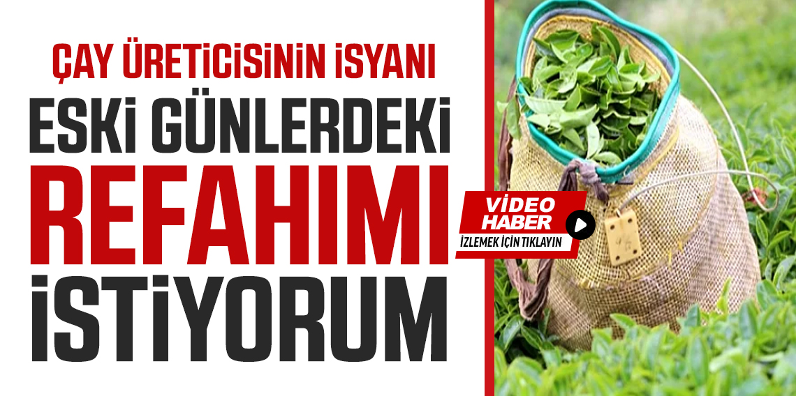 2025 Yaş Çay Alım Fiyatına Tepkiler Büyüyor: Üretici Geçinemiyor