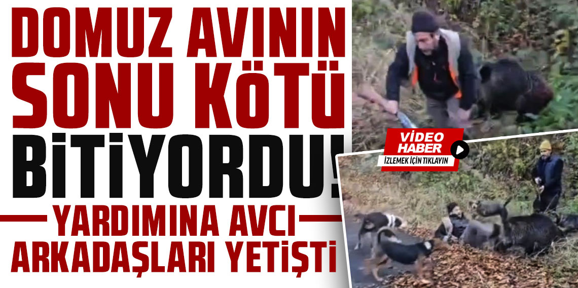Domuz avının sonu kötü bitiyordu; yardımına avcı arkadaşları yetişti