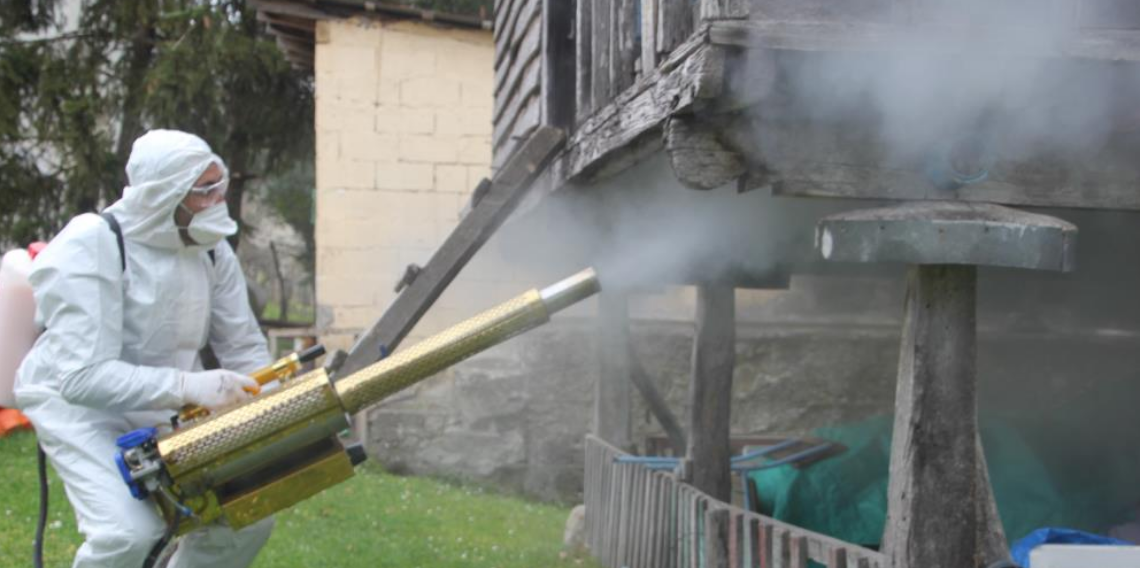 Ordu’da Kahverengi Kokarca ile Mücadele Sürüyor