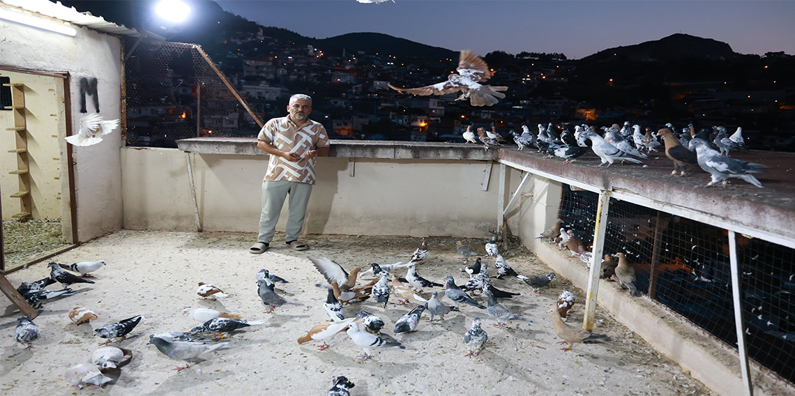 35 yıllık tutkusunu evinin çatısında sürdürüyor